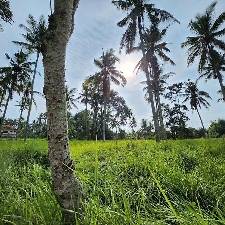 Casa Idea Ubud Dış mekan fotoğraf