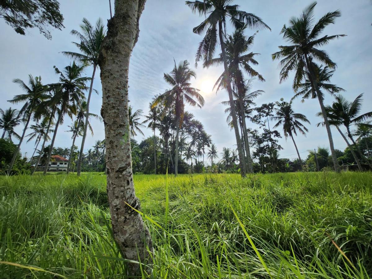 Casa Idea Ubud Dış mekan fotoğraf